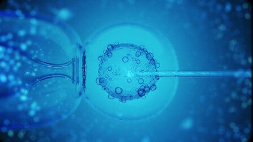History 101 Season 2 Episode 9 - IVF