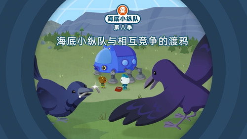 Octonauts Season 8 Episode 13 - Episode 13