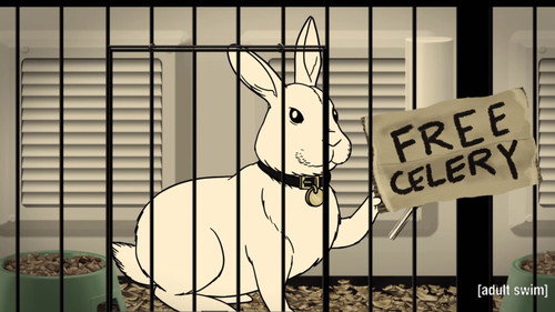 Aqua Teen Hunger Force Season 11 Episode 6 - Rabbit, Not Rabbot