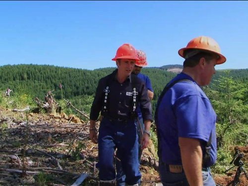 Richard Hammond's Crash Course Season 1 Episode 2 - Tree Harvester
