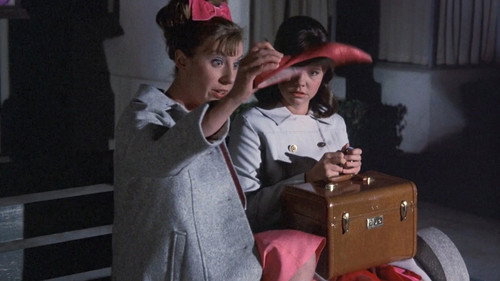 Gidget Season 1 Episode 25 - Love and the Single Gidget