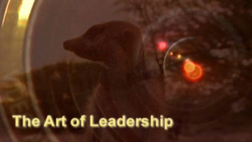 Meerkat Manor Season 2 Episode 9 - The Art of Leadership