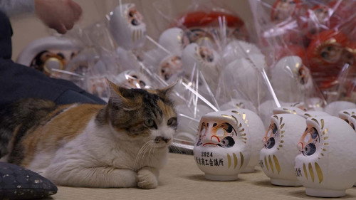 A Cat's-Eye View of Japan Season 5 Episode 2 - Gunma: Kusatsu Onsen and Daruma Dolls