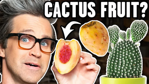 Exotic Fruits Taste Test still