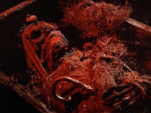 Swamp Thing Season 3 Episode 21 - The Curse