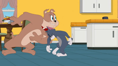 The Tom and Jerry Show Season 2 Episode 13 - Slap Happy Birthday