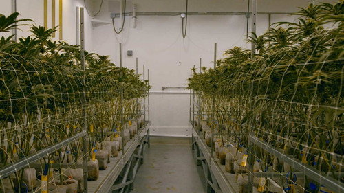 VICE News Tonight Season 5 Episode 20 - Monday, February 8, 2021