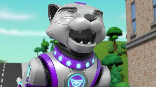 PAW Patrol Season 9 Episode 13 - Pups Meet the Cat Pack