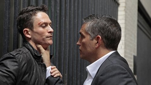 Person of Interest Season 2 Episode 4 - Triggerman