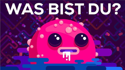 Kurzgesagt - In a Nutshell Season 4 Episode 7 - What Are You?