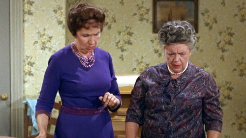 The Andy Griffith Show Season 6 Episode 19 - Lost and Found