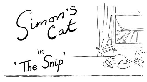 Simon's Cat Season 11 Episode 8 - The Snip