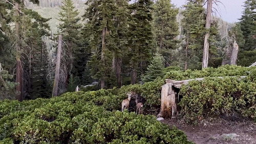 PARK'D with Abby Hornacek Season 6 Episode 2 - Sequoia/Kings Canyon