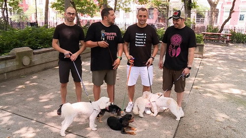 Impractical Jokers Season 7 Episode 21 - Out of Left Field