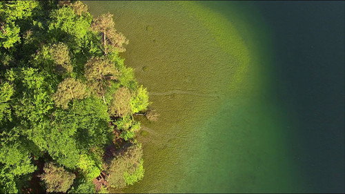 Wild Germany Season 3 Episode 3 - The Stechlin - In the kingdom of clear lakes