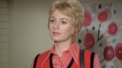 The Partridge Family Season 4 Episode 13 - Art for Mom's Sake