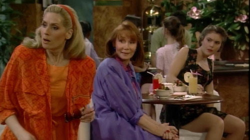 Who's the Boss? Season 8 Episode 20 - Split Decision