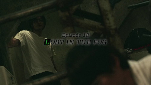 LOST IN THE FOG still