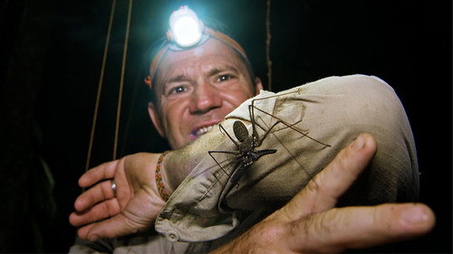 Deadly 60 Season 4 Episode 9 - Ecuador Jungle