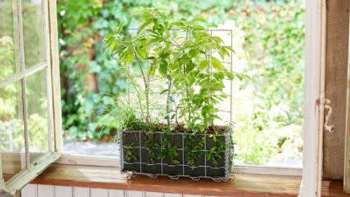 DESIGN TALKS plus Season 5 Episode 18 - Greenery