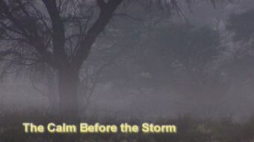 Meerkat Manor Season 1 Episode 12 - The Calm Before the Storm
