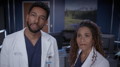 Grey's Anatomy Season 19 Episode 14 - Shadow of Your Love