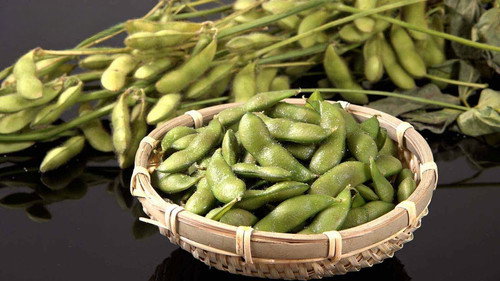 Trails to Oishii Tokyo Season 6 Episode 19 - EDAMAME