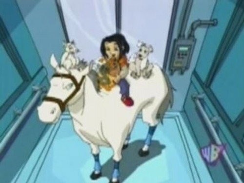 undefined Season 3 Episode 13 - Animal Crackers