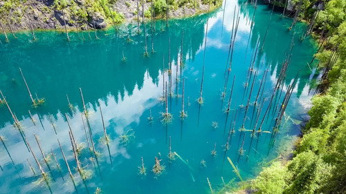 Saving paradise Season 1 Episode 3 - Lake Kaindy, The Treasure of the Kazakh Mountains