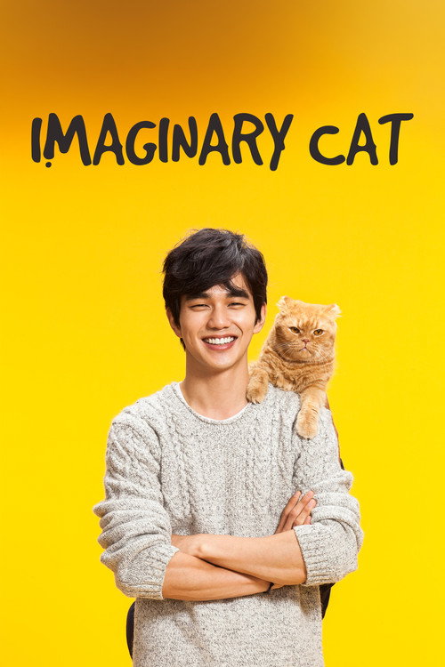 Imaginary Cat poster