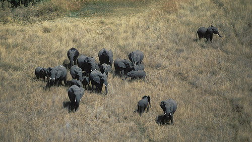Nature Season 22 Episode 2 - Kalahari: The Great Thirstland