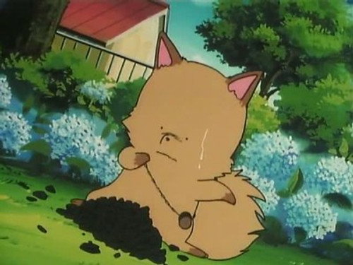 Return of the Pure-Hearted Fox! I Love Shinobu! still