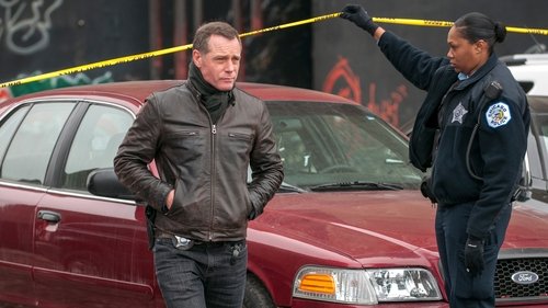 Chicago P.D. Season 1 Episode 15 - A Beautiful Friendship