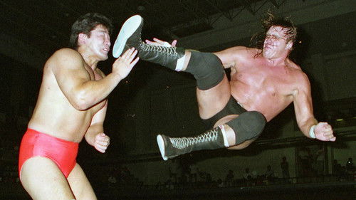 Dark Side of the Ring Season 5 Episode 3 - Terry Gordy: Final Flight of the Freebird