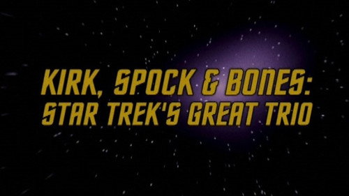 Kirk, Spock & Bones - Star Trek's Great Trio still