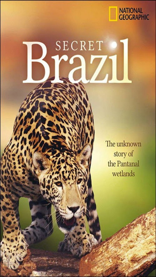 Secret Brazil – National poster
