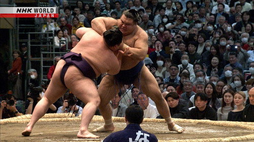 GRAND SUMO Highlights Season 28 Episode 14 - Day 14