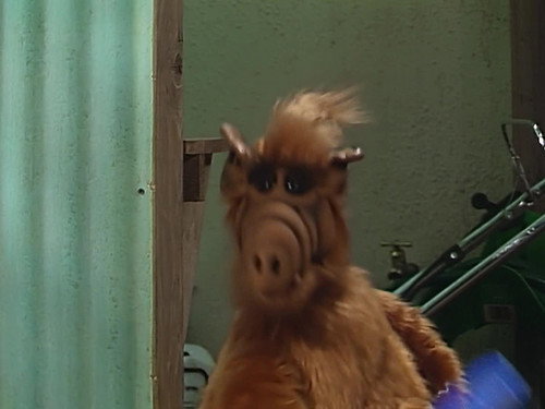 undefined Season 2 Episode 15 - We're So Sorry, Uncle Albert