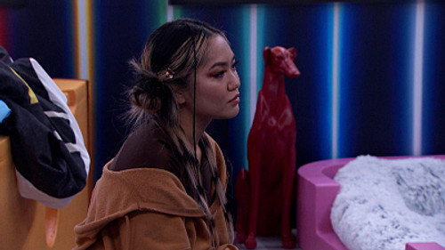 Big Brother Season 25 Episode 23 - Episode 23