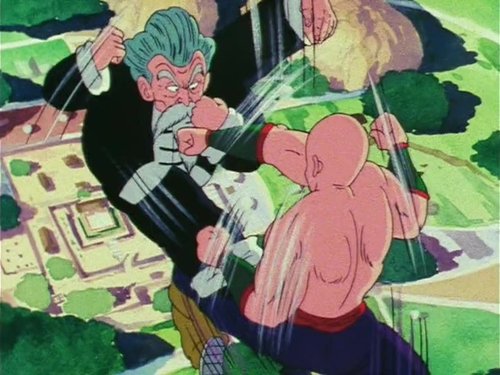 Tien Shinhan vs. Jackie Chun still