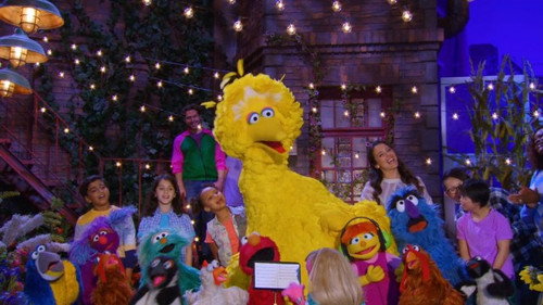 Big Bird's Big Solo still