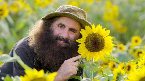 Gardening Australia Season 36 Episode 3 - Episode 3 Autumn: Cheery Sunflowers & Wonderful Witlof