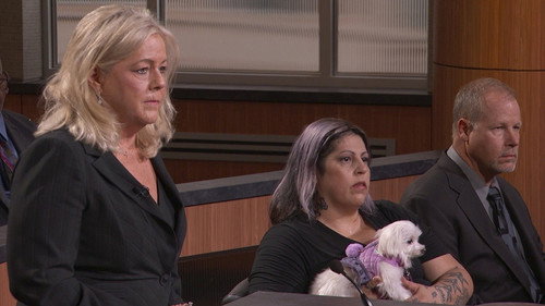 Pet Adoption Fail; Texas Natural Disaster Repair still