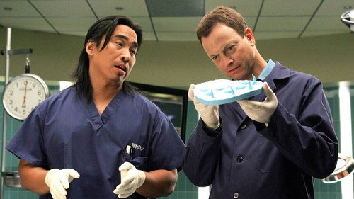 CSI: NY Season 2 Episode 3 - Zoo York
