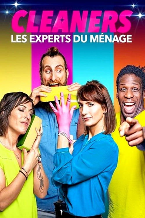 Cleaners, the cleaning experts poster