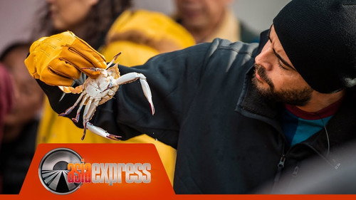 Episode 34 still