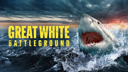 Shark Week Season 35 Episode 1 - Great White Battleground