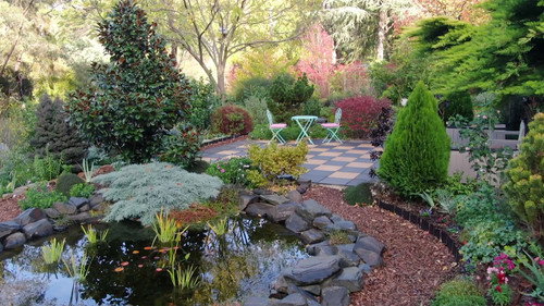 Gardening Australia Season 31 Episode 11 - Episode 11 Resourceful Renters, Weeds in Pavers & Autumn Jobs