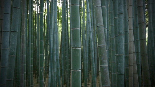 Core Kyoto Season 2 Episode 8 - Bamboo Culture: New Life in Spring Enriches the Ancient Capital