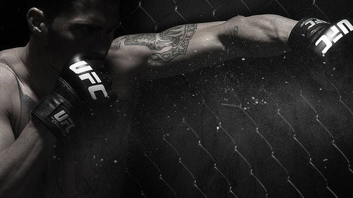 The Ultimate Fighter Season 22 Episode 8 - TBA